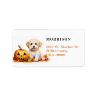 Niedlicher White Yorkie Hund mit Pumpkin