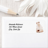 Niedlicher Witzhund (Insitu)