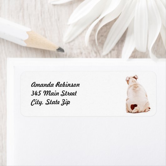 Niedlicher Witzhund (Insitu)