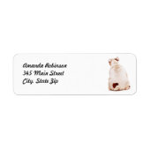 Niedlicher Witzhund (Vorne)