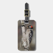 Niedlicher Woodpecker auf dem Baum Gepäckanhänger (Vorderseite vertikal)