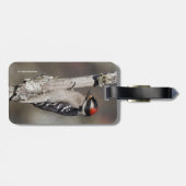 Niedlicher Woodpecker auf dem Baum Gepäckanhänger (Rückseite horizontal)