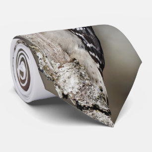 Niedlicher Woodpecker auf dem Baum Krawatte