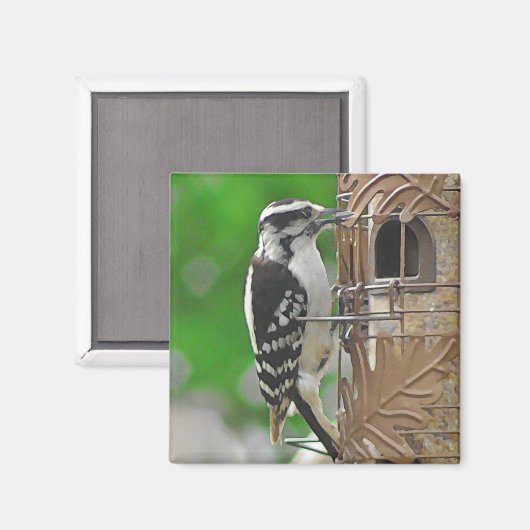 Niedlicher Woodpecker Bird auf Birdhouse Magnet (Vorderseite/Rückseite)