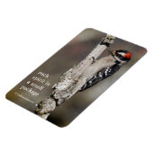 Niedlicher Woodpecker-Vogel auf Zweigstelle Magnet (Linke Seite)