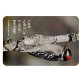 Niedlicher Woodpecker-Vogel auf Zweigstelle Magnet (Horizontal)