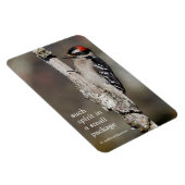 Niedlicher Woodpecker-Vogel auf Zweigstelle Magnet (Rechte Seite)