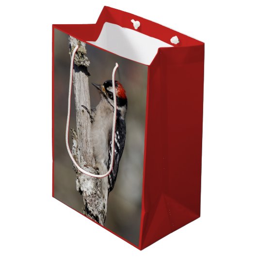 Niedlicher Woodpecker-Vogel auf Zweigstelle Mittlere Geschenktüte (Vorderseite Schrägansicht)