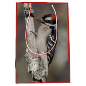 Niedlicher Woodpecker-Vogel auf Zweigstelle Mittlere Geschenktüte (Vorderseite)