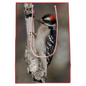 Niedlicher Woodpecker-Vogel auf Zweigstelle Mittlere Geschenktüte (Rückseite)