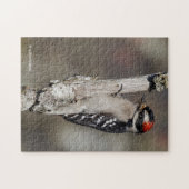 Niedlicher Woodpecker-Vogel auf Zweigstelle Puzzle (Horizontal)