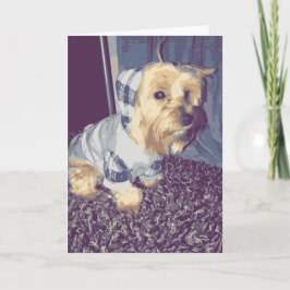 Niedlicher Yorkie Hund trägt einen Karierten Hoodi Karte