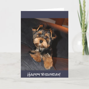 Niedlicher Yorkshire-Terrier, alles Gute zum Karte