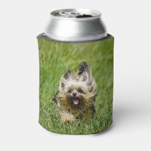 Niedlicher Yorkshire Terrier, der durch Gras läuft Dosenkühler