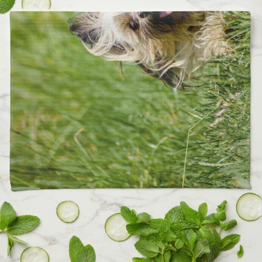 Niedlicher Yorkshire Terrier, der durch Gras läuft Geschirrtuch (Gefaltet)