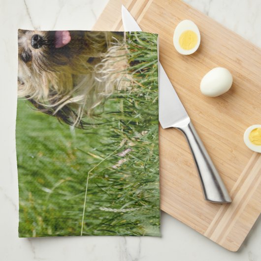 Niedlicher Yorkshire Terrier, der durch Gras läuft Geschirrtuch (Viertel Falte)