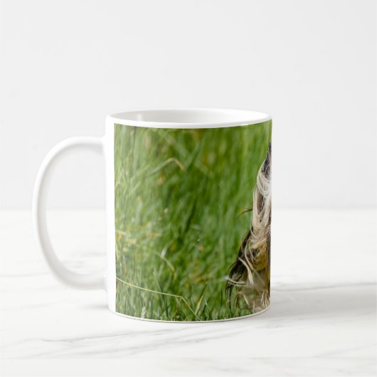 Niedlicher Yorkshire Terrier, der durch Gras läuft Kaffeetasse (Links)