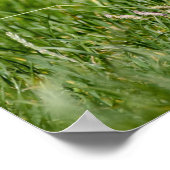 Niedlicher Yorkshire Terrier, der durch Gras läuft Poster (Ecke)