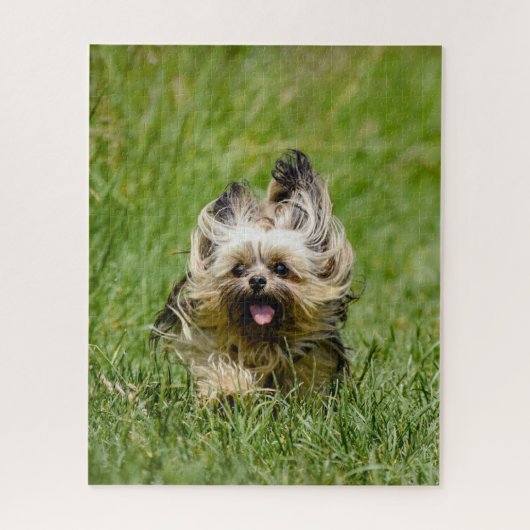 Niedlicher Yorkshire Terrier, der durch Gras läuft Puzzle (Vertikal)