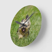 Niedlicher Yorkshire Terrier, der durch Gras läuft Runde Wanduhr (Winkel)