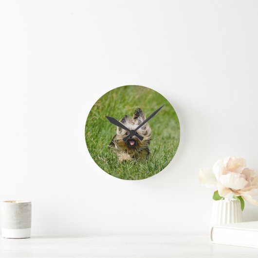 Niedlicher Yorkshire Terrier, der durch Gras läuft Runde Wanduhr (Zuhause)