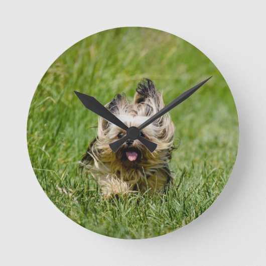 Niedlicher Yorkshire Terrier, der durch Gras läuft Runde Wanduhr (Vorderseite)