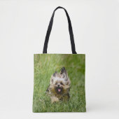 Niedlicher Yorkshire Terrier, der durch Gras läuft Tasche (Vorderseite)