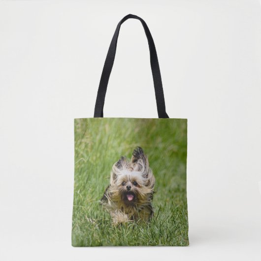 Niedlicher Yorkshire Terrier, der durch Gras läuft Tasche (Vorderseite)
