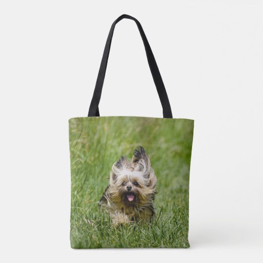 Niedlicher Yorkshire Terrier, der durch Gras läuft Tasche (Rückseite)