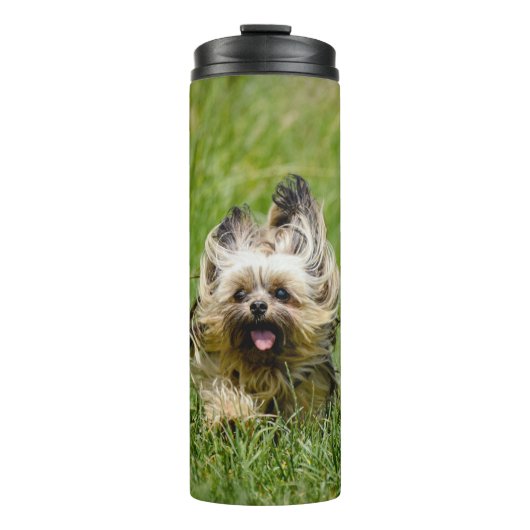 Niedlicher Yorkshire Terrier, der durch Gras läuft Thermosbecher (Vorderseite)