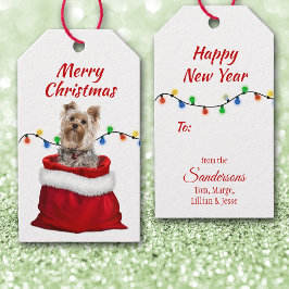 Niedlicher Yorkshire Terrier Dog in Santa Bag Geschenkanhänger