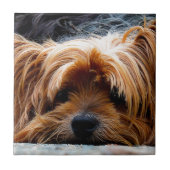 Niedlicher Yorkshire-Terrier-Hund Fliese (Vorderseite)