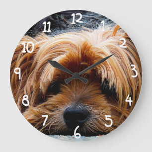 Niedlicher Yorkshire-Terrier-Hund Große Wanduhr