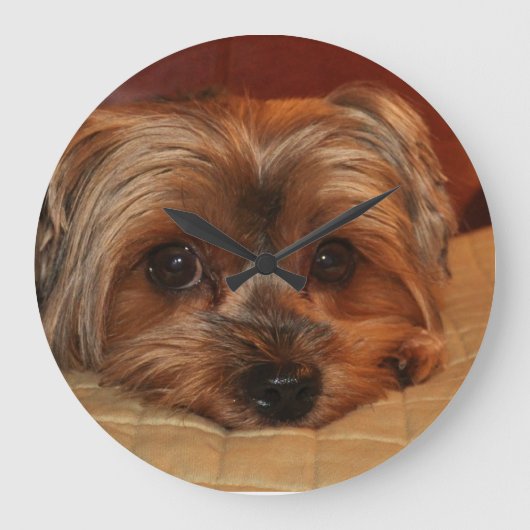 Niedlicher Yorkshire-Terrier-Hund Große Wanduhr (Vorderseite)