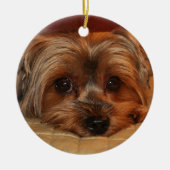 Niedlicher Yorkshire-Terrier-Hund Keramik Ornament (Vorne)