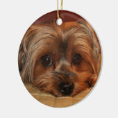Niedlicher Yorkshire-Terrier-Hund Keramik Ornament (Links)