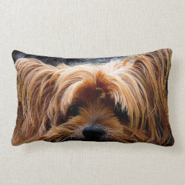 Niedlicher Yorkshire-Terrier-Hund Lendenkissen