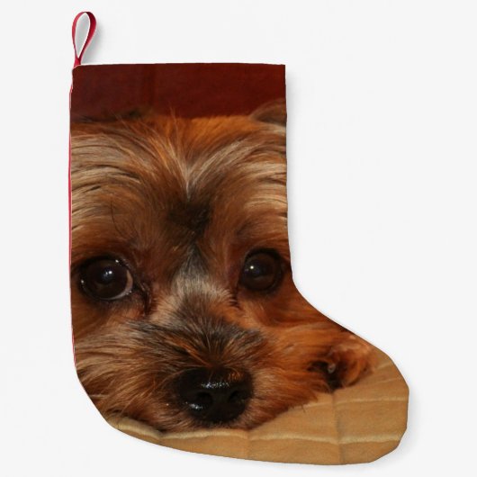 Niedlicher Yorkshire-Terrier-Welpe Kleiner Weihnachtsstrumpf (Vorderseite)