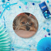 Niedlicher Yorkshire-Terrier Yorkie mit roten Pappteller (Party)