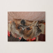 Niedlicher Yorkshire-Terrier Yorkie mit roten Puzzle (Horizontal)