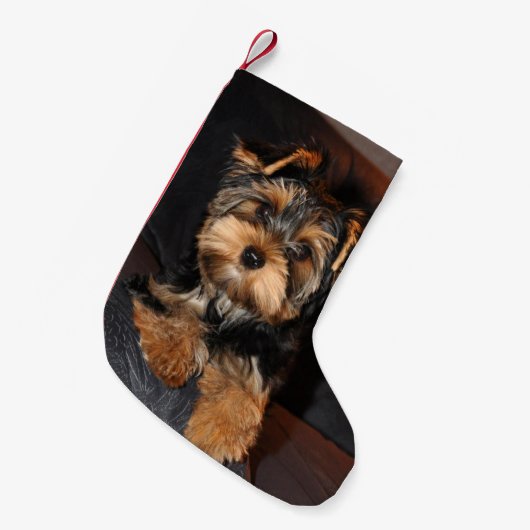 Niedlicher Yorkshire-Terrier Yorkie Welpen-Hund Kleiner Weihnachtsstrumpf (Vorderansicht (hängend))