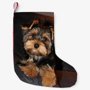 Niedlicher Yorkshire-Terrier Yorkie Welpen-Hund Kleiner Weihnachtsstrumpf