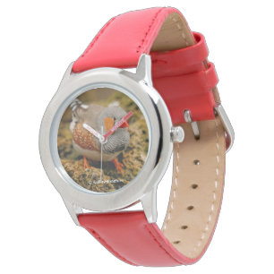 Niedlicher Zebra Finch Songbird auf den Felsen Armbanduhr