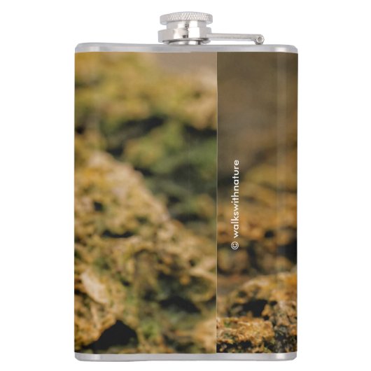 Niedlicher Zebra Finch Songbird auf den Felsen Flachmann (Rückseite)