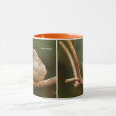 Niedlicher Zebra Finch Songbird Hübsch sitzen Tasse (Zentrum)