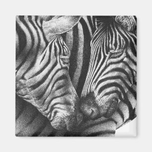 Niedlicher Zebra-Magnet Magnet