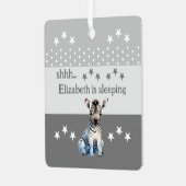 Niedlicher Zebrashh-Name ist grau schlafen Ornament Aus Metall (Vorderseite links)