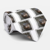 Niedlicher zwergartiger Mungo Krawatte (Gerollt)