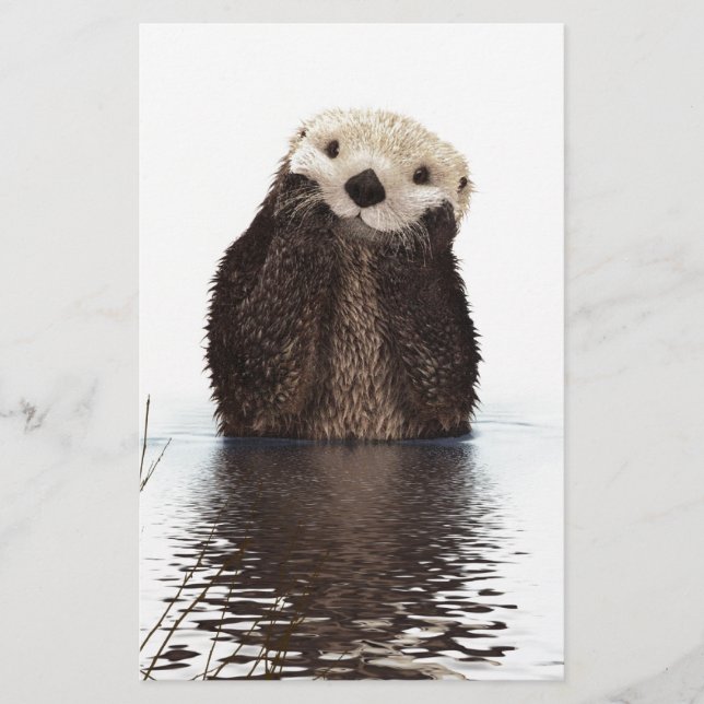 Niedliches Adorable Fluffy Otter Animal (Vorderseite)