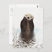 Niedliches Adorable Fluffy Otter Animal Postkarte (Vorne/Hinten)